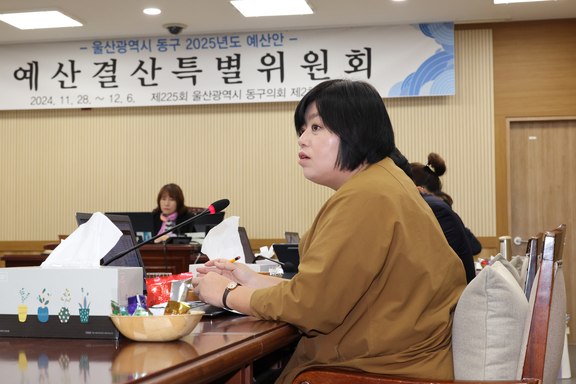 2025년도 예산안 예산결산특별위원회