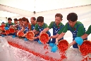 2015 울산조선해양축제(7.26)