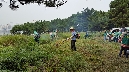 울산동구새마을회 무연고 분묘 벌초 행사
